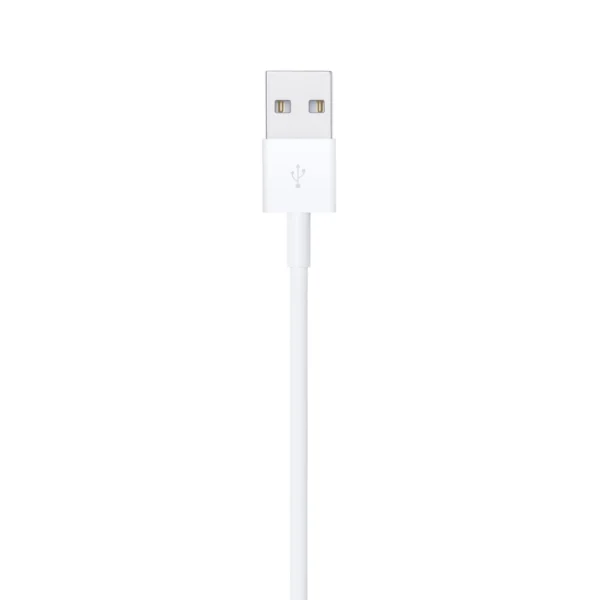 Apple Lightning to USB Cable 2m 2