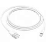 Apple Lightning to USB Cable (1m)