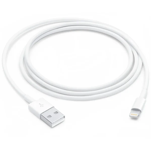 Apple Lightning to USB Cable (1m)