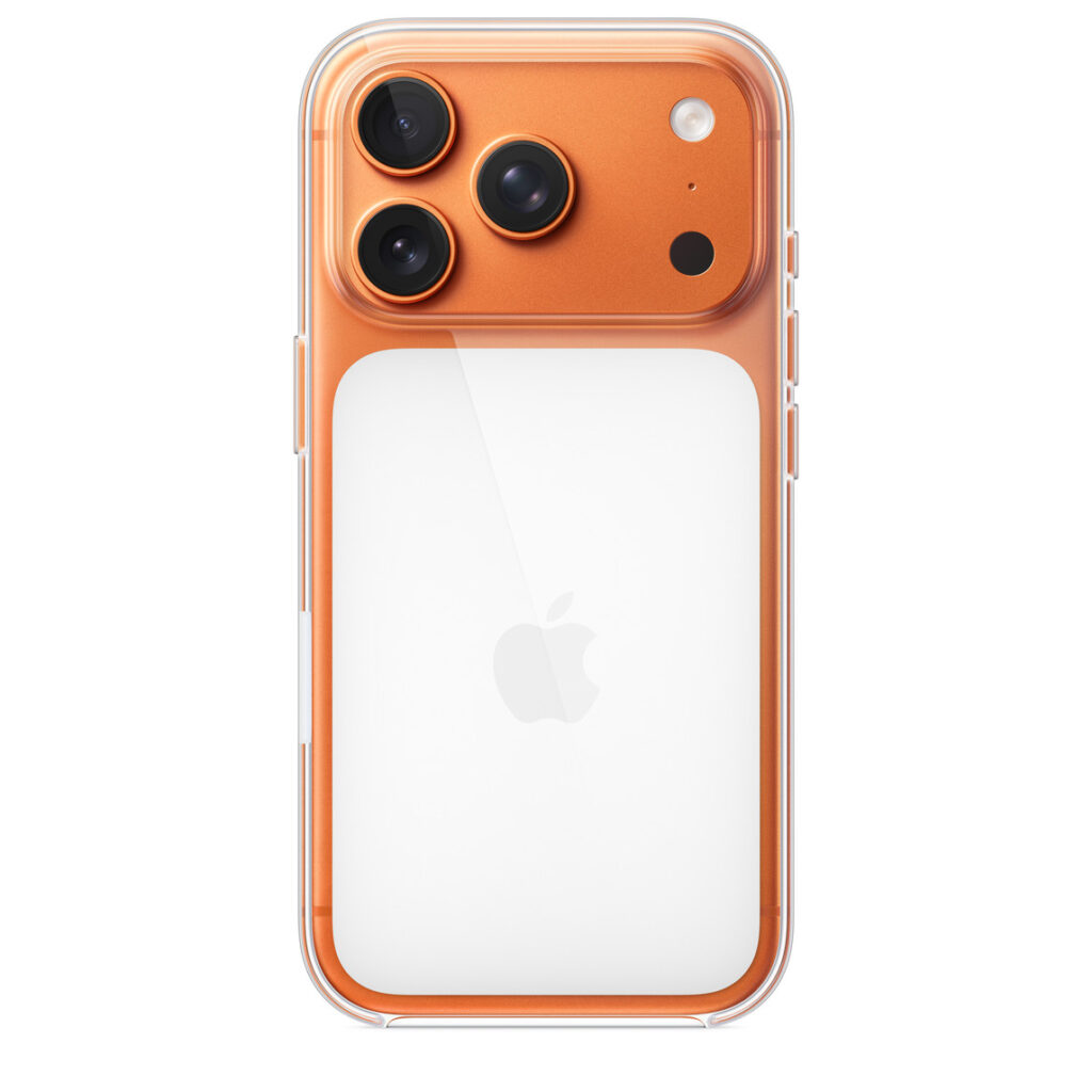 17 PRO CLEAR CASE