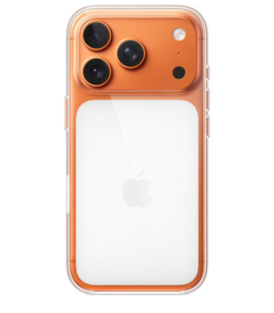 17 PRO CLEAR CASE