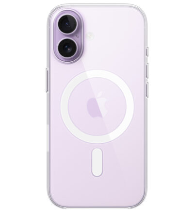 17 CLEAR CASE