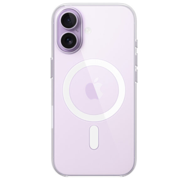 17 CLEAR CASE